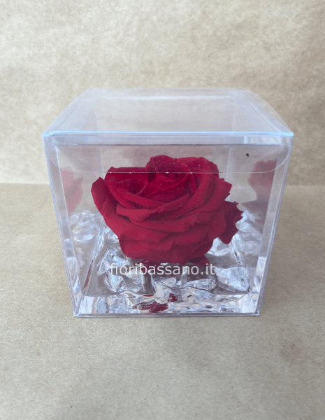 Rosa stabilizzata bocciolo grande 