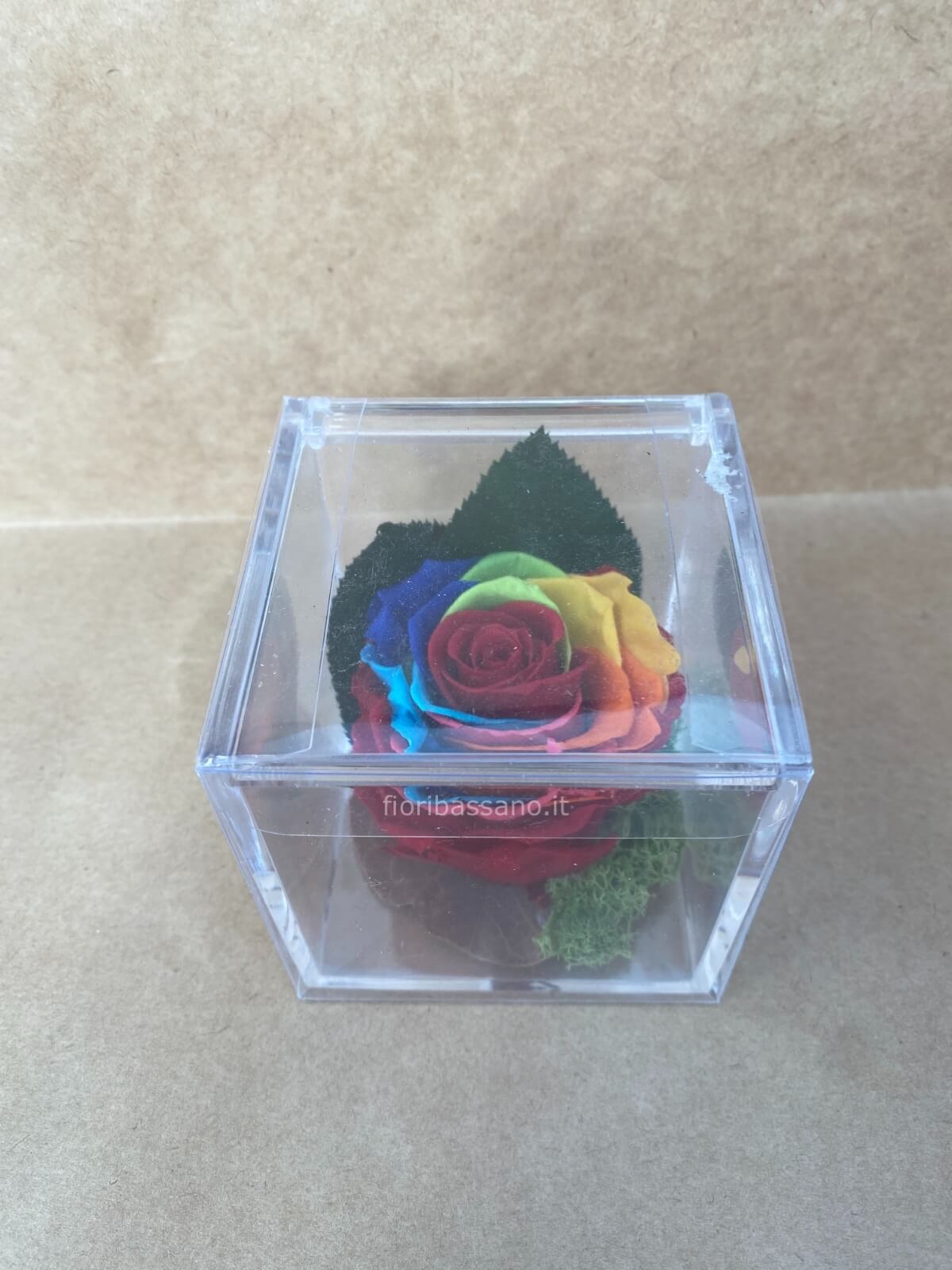 Rosa stabilizzata bocciolo multicolor » Fiorista a Bassano del Grappa vende  online fiori e piante, consegna a domicilio.